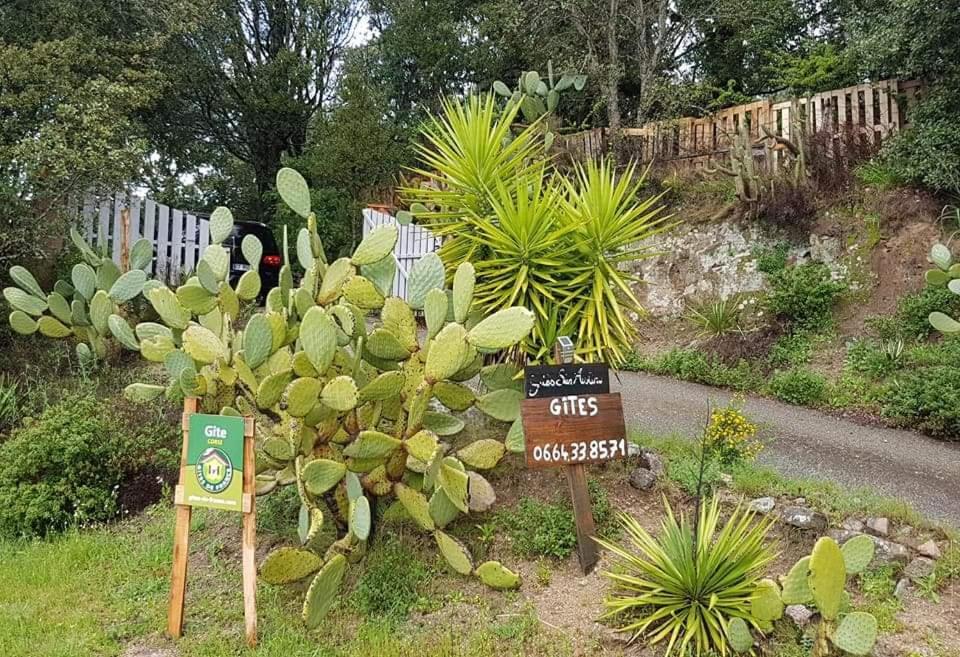 Gites San Austinu Petreto-Bicchisano Exteriör bild